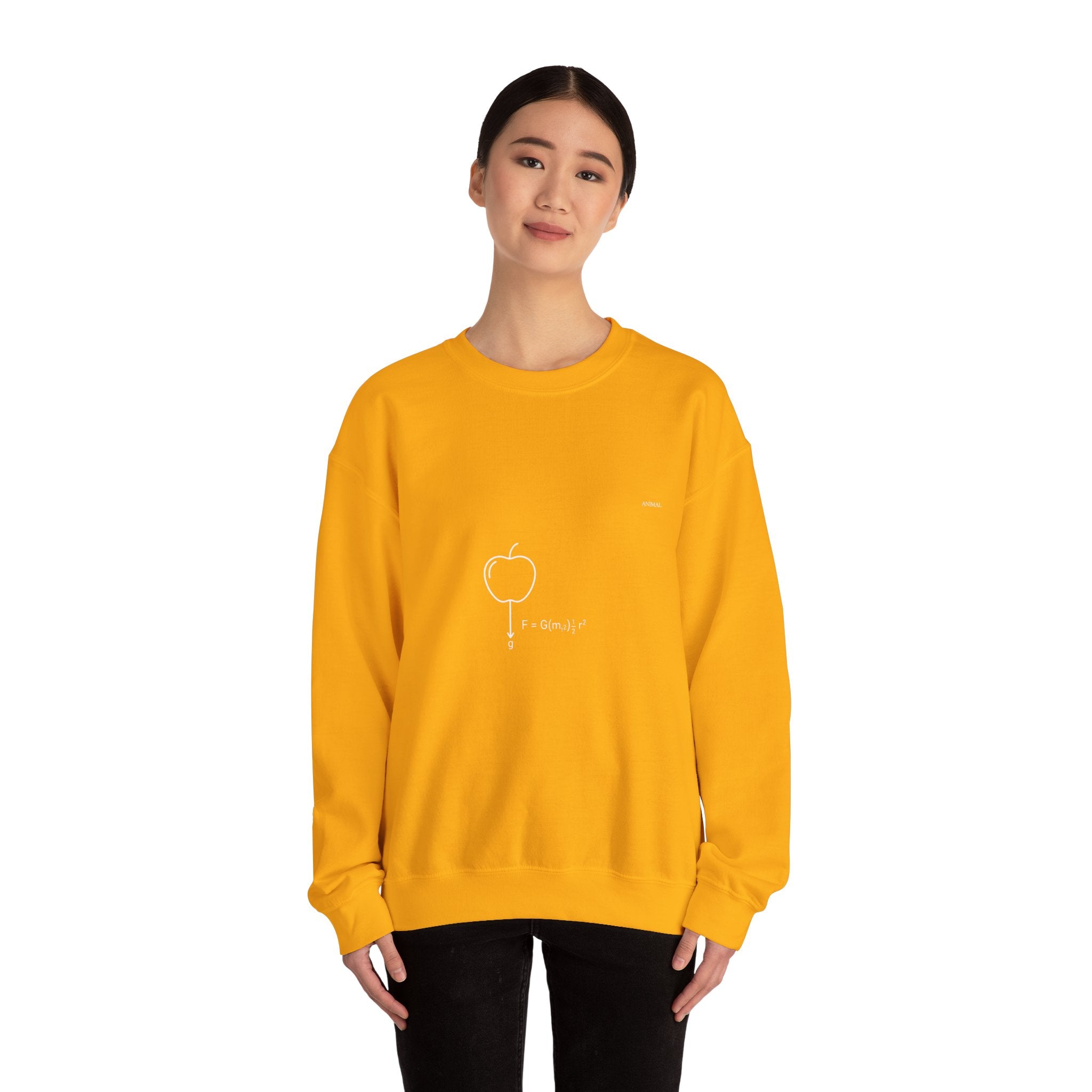 Newton Physics | Evolution Line | Newton | Unisex Crewneck Sweatshirt