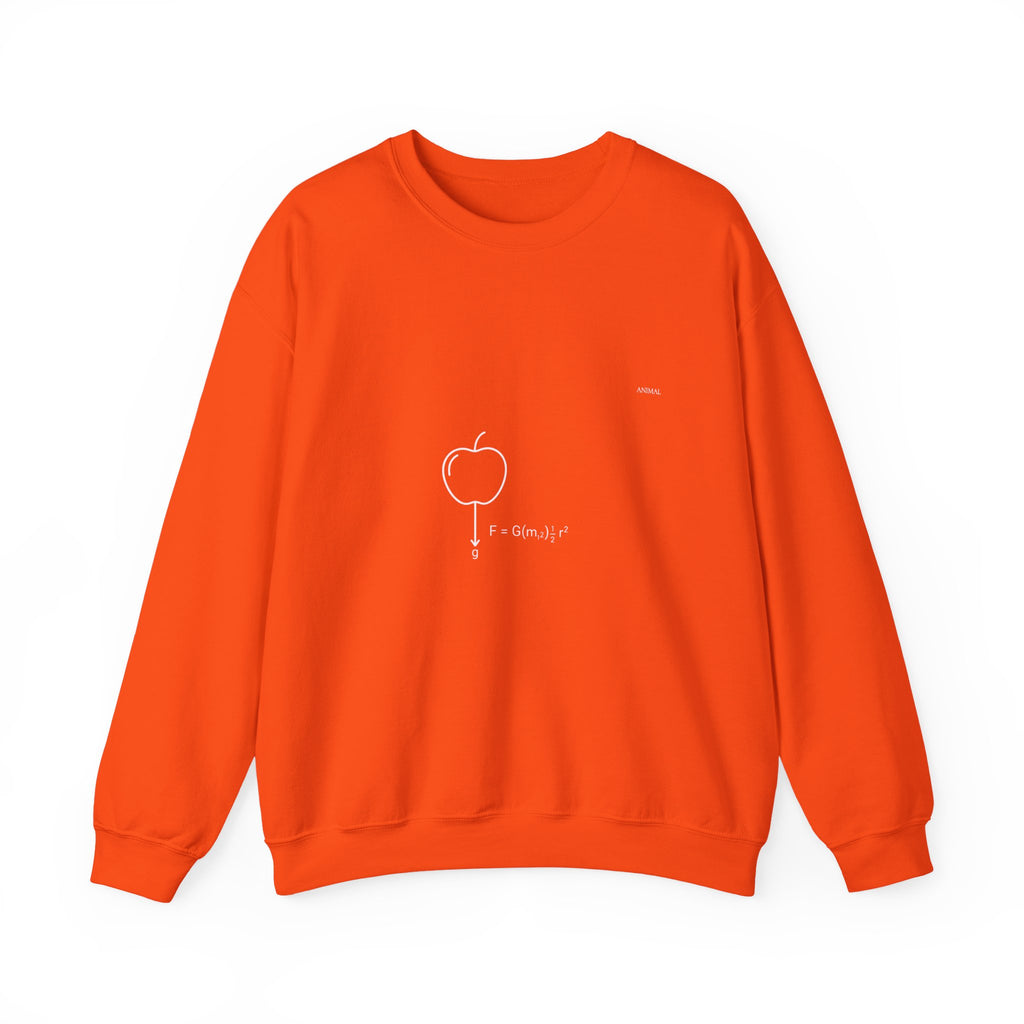 Newton Physics | Evolution Line | Newton | Unisex Crewneck Sweatshirt