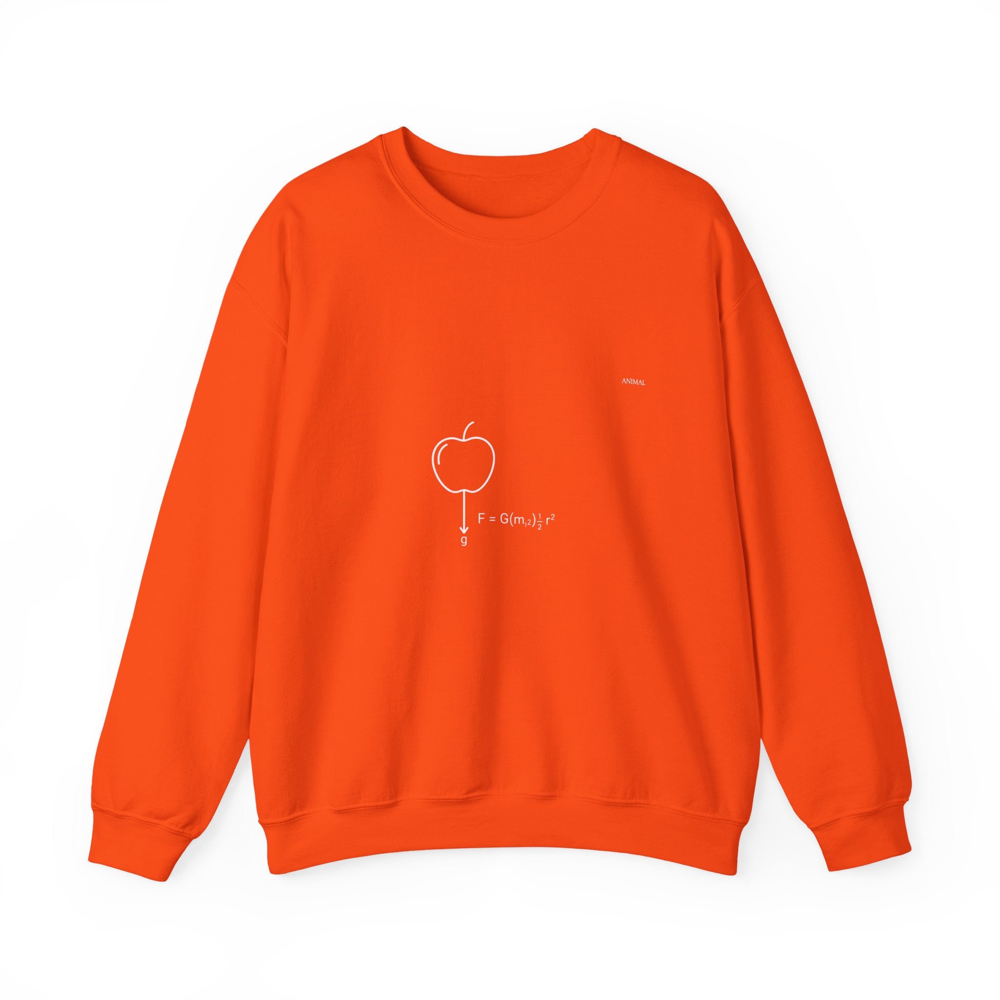 Newton Physics | Evolution Line | Newton | Unisex Crewneck Sweatshirt