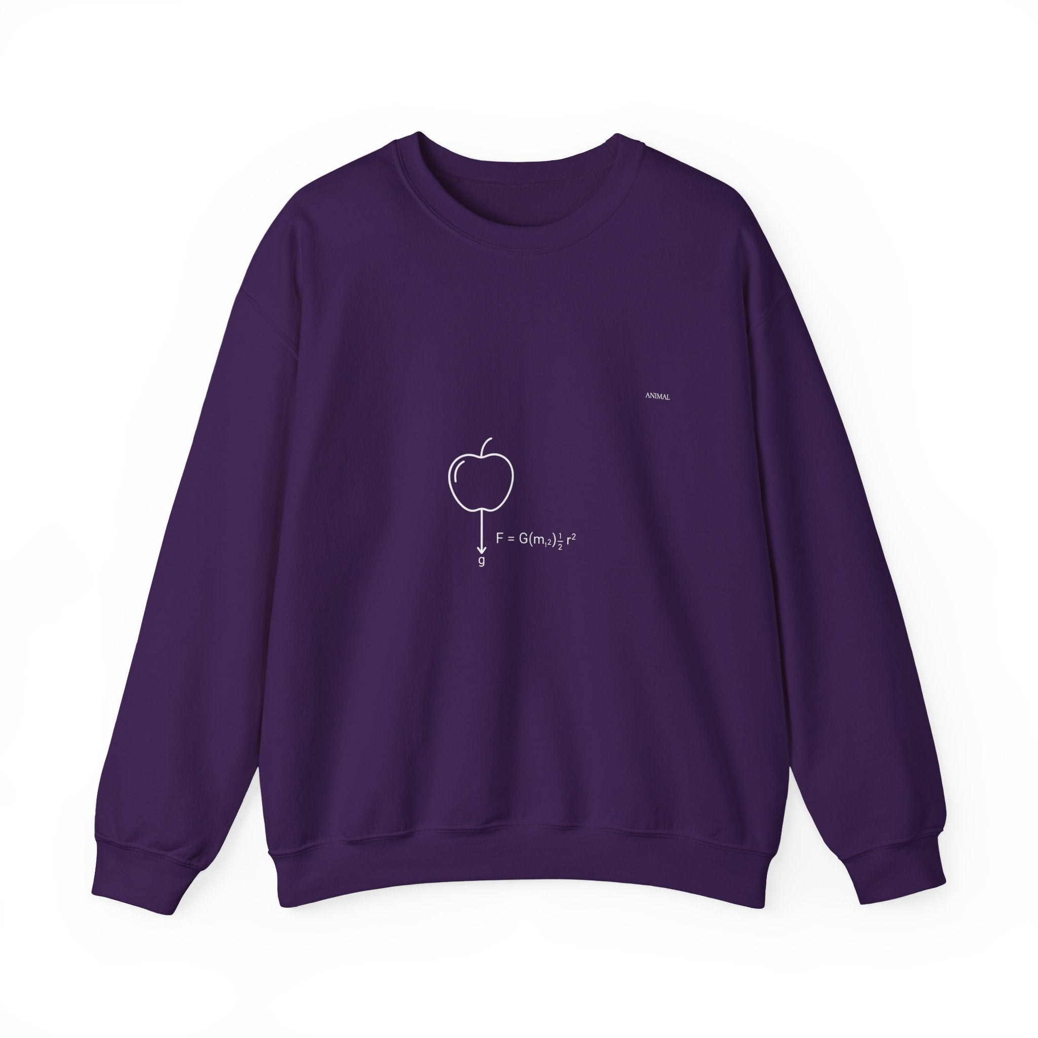 Newton Physics | Evolution Line | Newton | Unisex Crewneck Sweatshirt