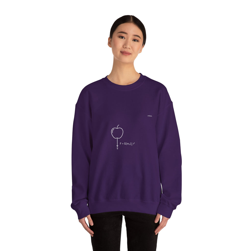 Newton Physics | Evolution Line | Newton | Unisex Crewneck Sweatshirt