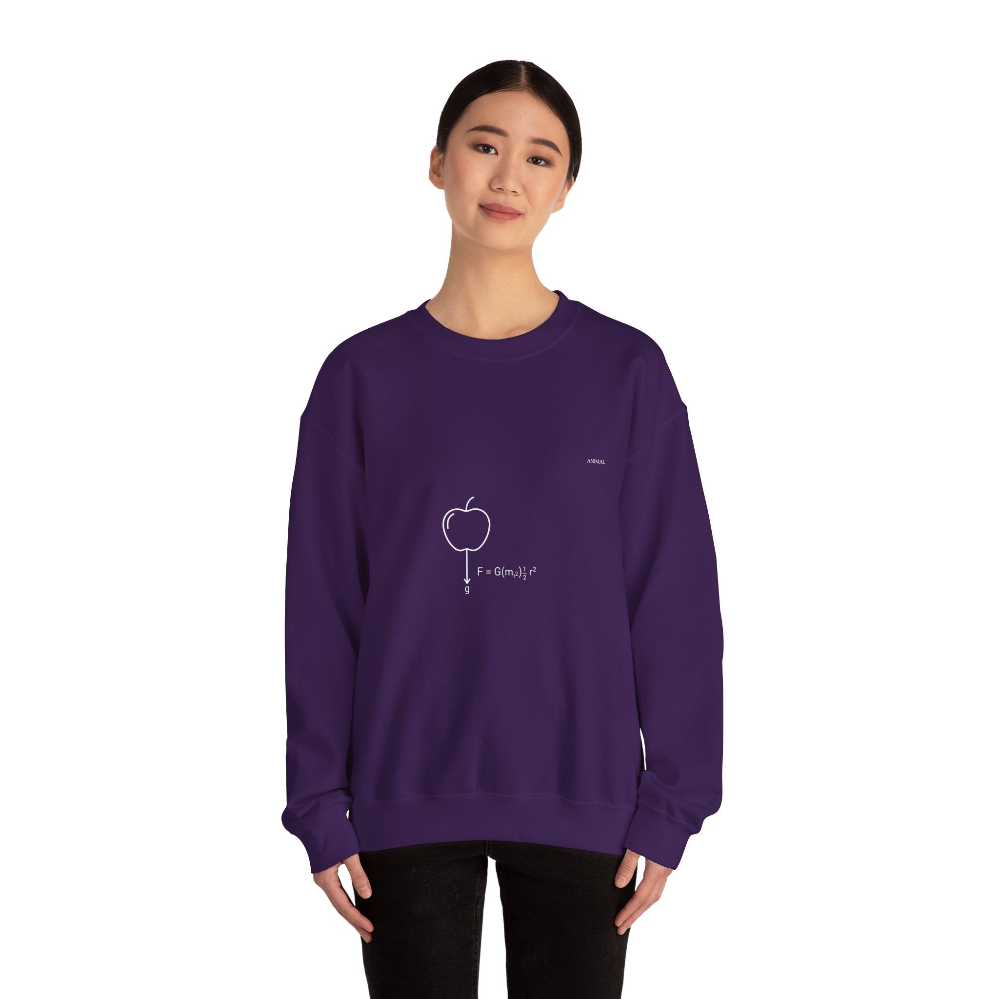 Newton Physics | Evolution Line | Newton | Unisex Crewneck Sweatshirt