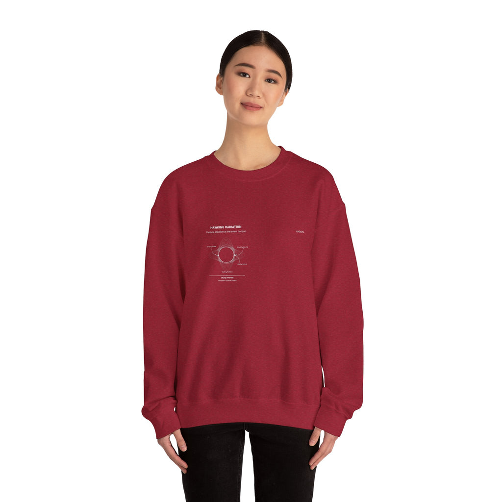 Hawking Radiation | Cosmos Line | Stephen Hawking | Unisex Crewneck Sweatshirt