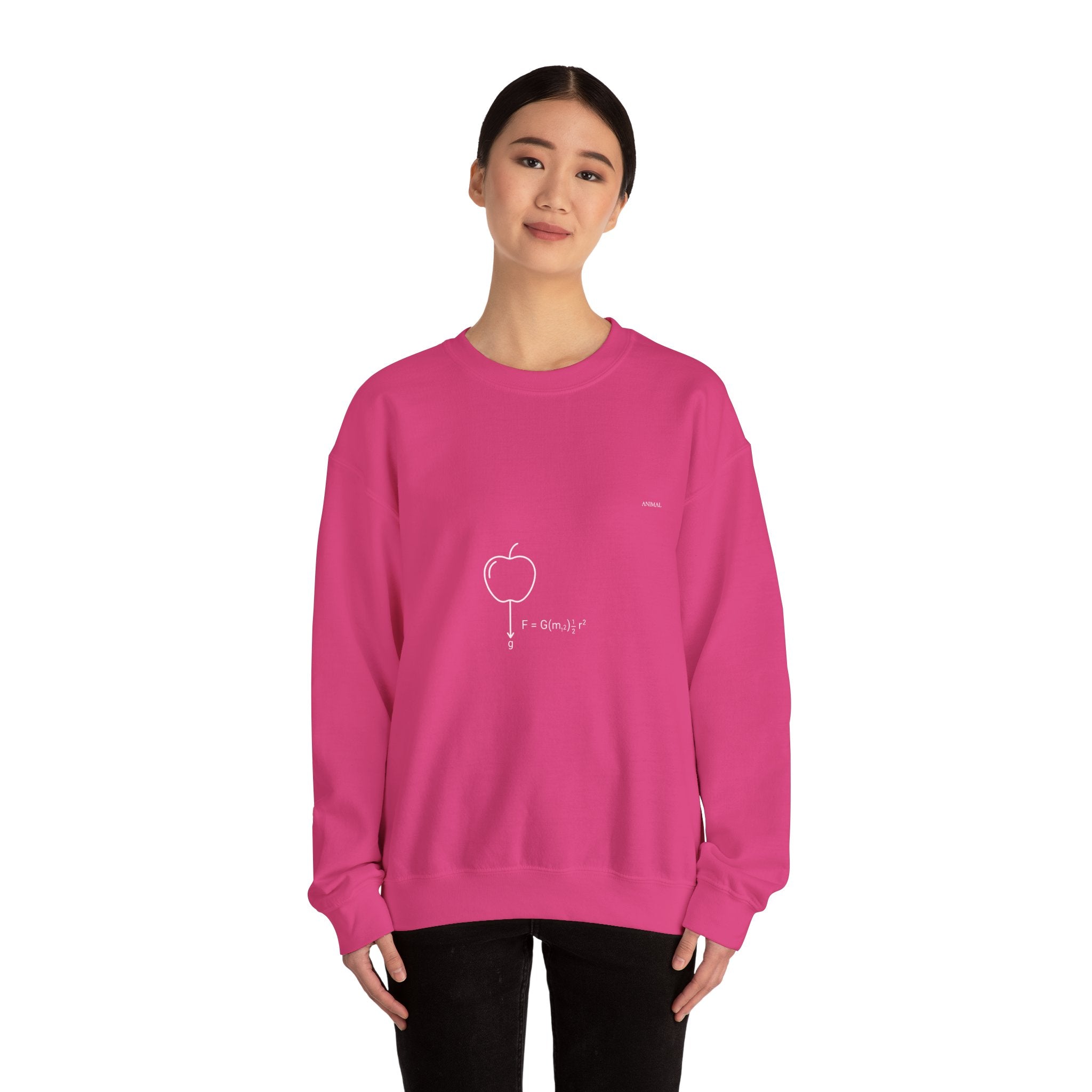 Newton Physics | Evolution Line | Newton | Unisex Crewneck Sweatshirt