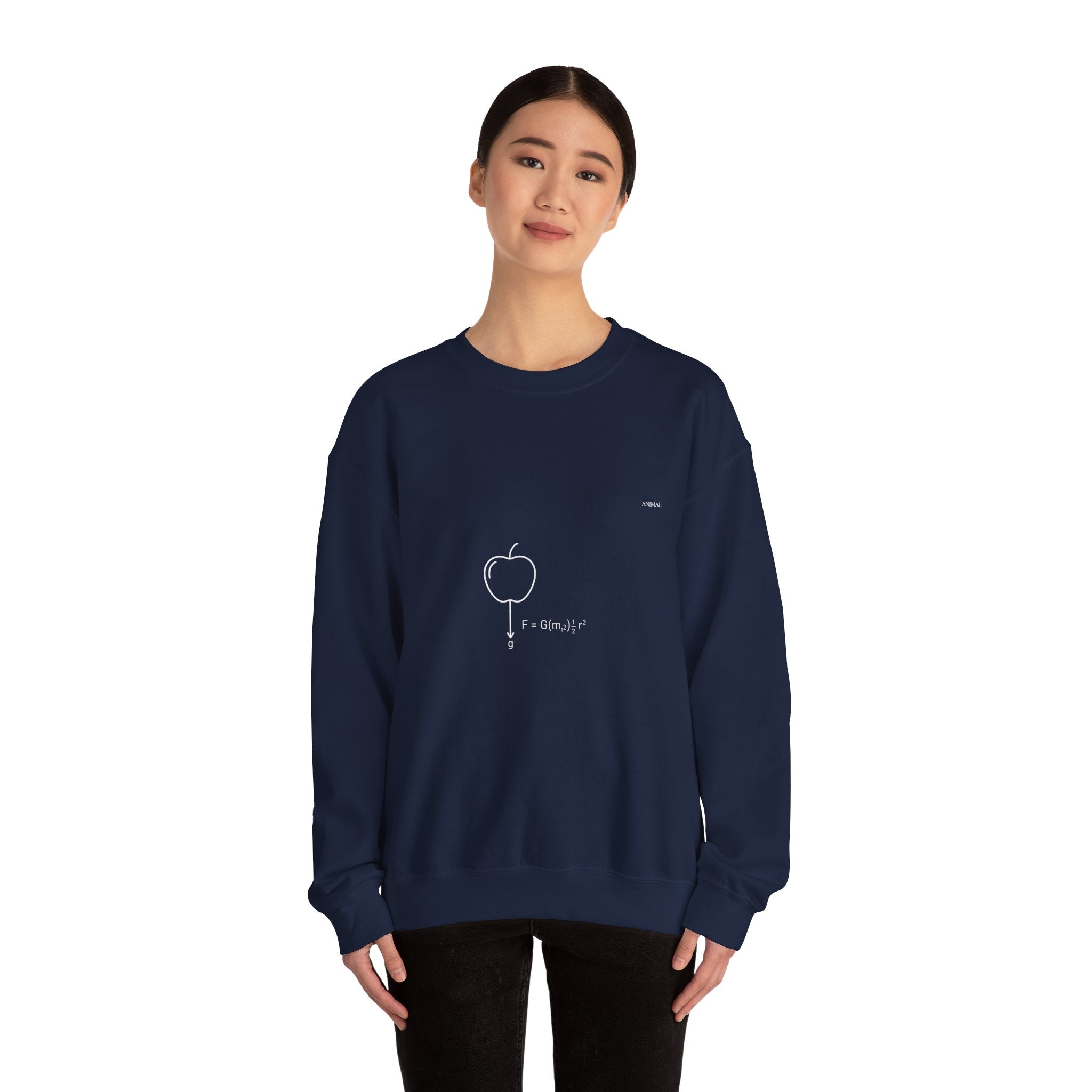 Newton Physics | Evolution Line | Newton | Unisex Crewneck Sweatshirt