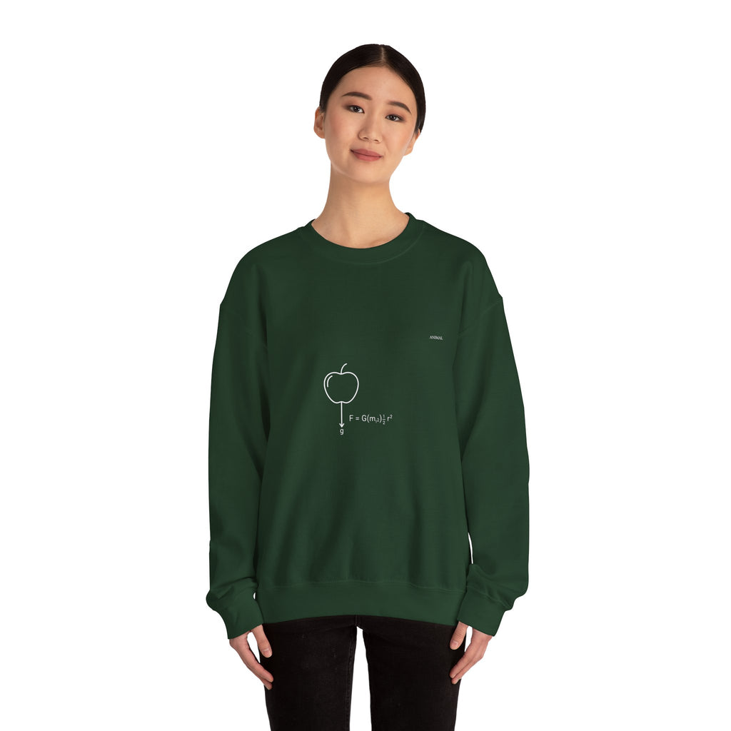 Newton Physics | Evolution Line | Newton | Unisex Crewneck Sweatshirt