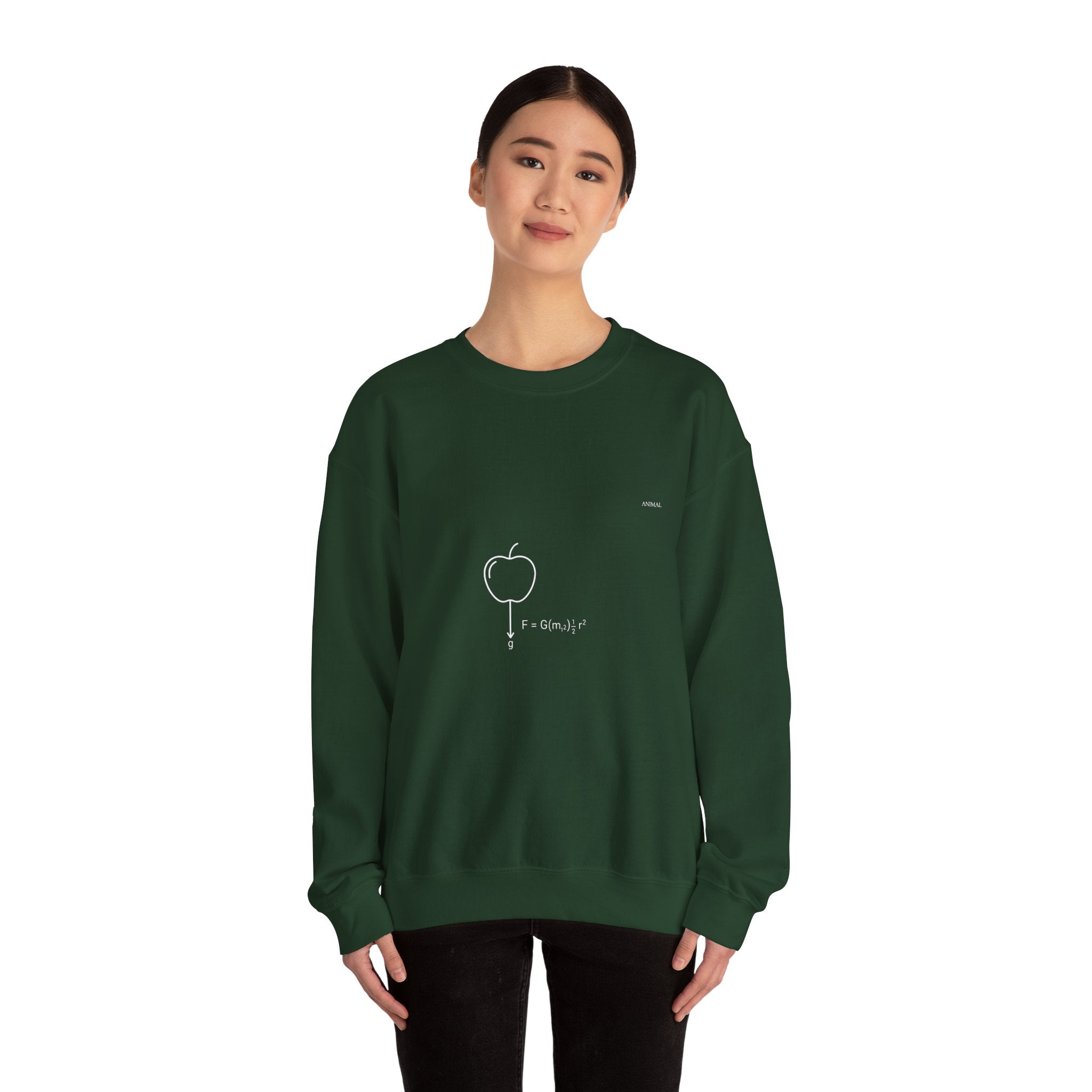 Newton Physics | Evolution Line | Newton | Unisex Crewneck Sweatshirt