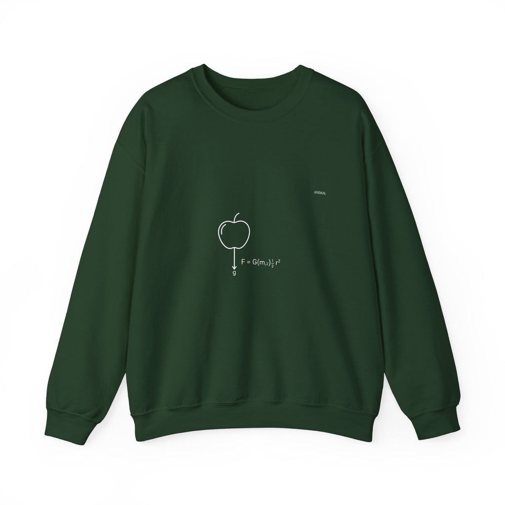 Newton Physics | Evolution Line | Newton | Unisex Crewneck Sweatshirt