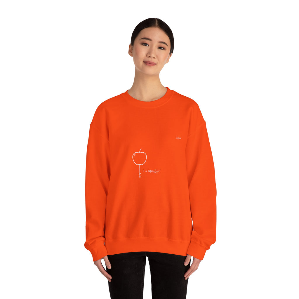 Newton Physics | Evolution Line | Newton | Unisex Crewneck Sweatshirt