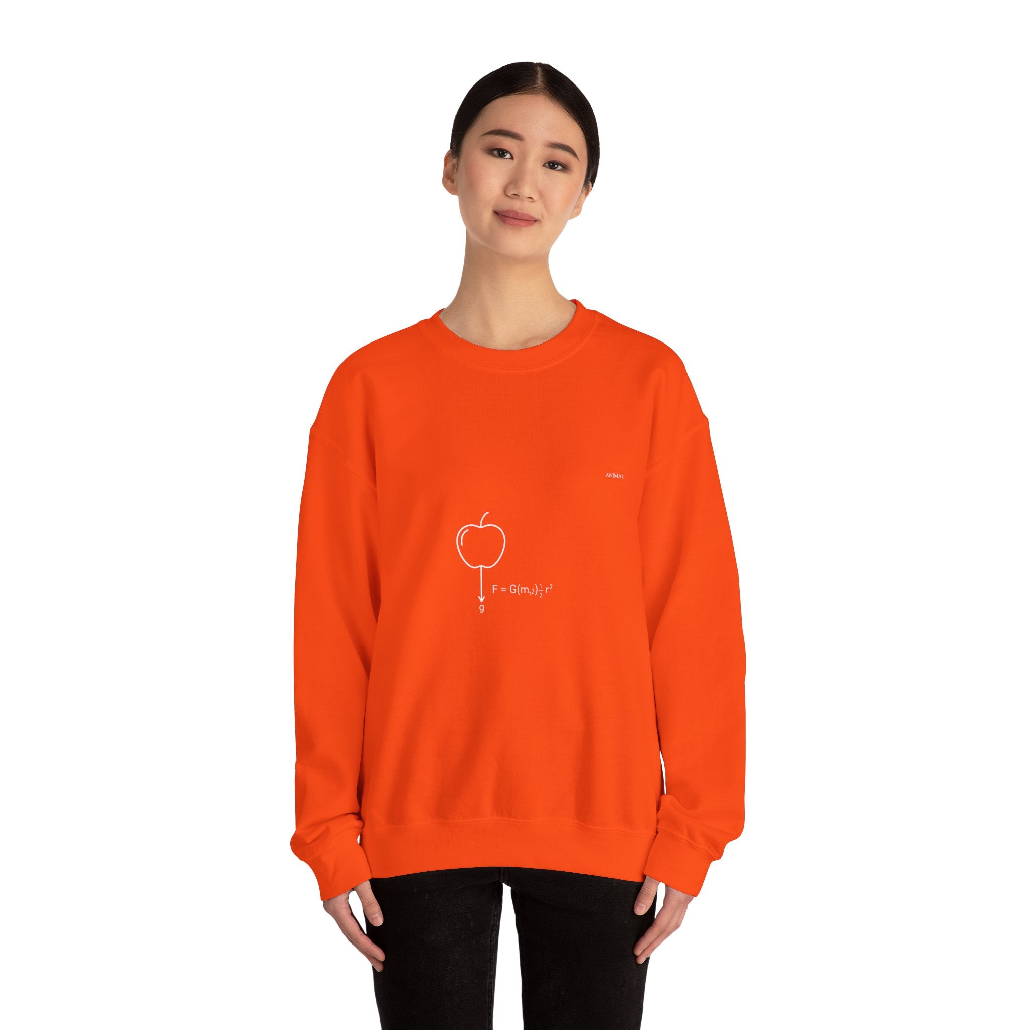 Newton Physics | Evolution Line | Newton | Unisex Crewneck Sweatshirt