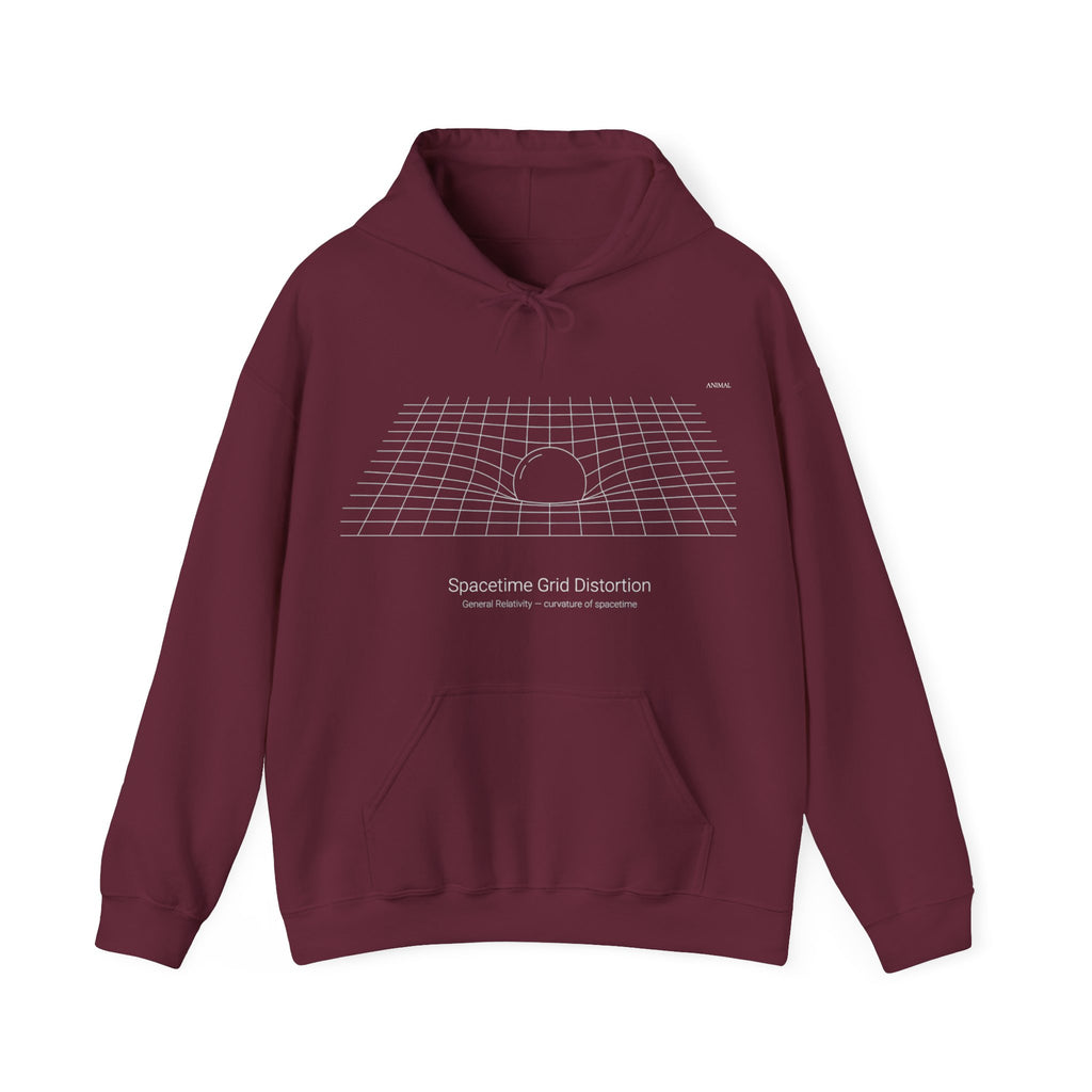 Spacetime Curve | Revolutions | Albert Einstein | Unisex Sweatshirt Hoodie