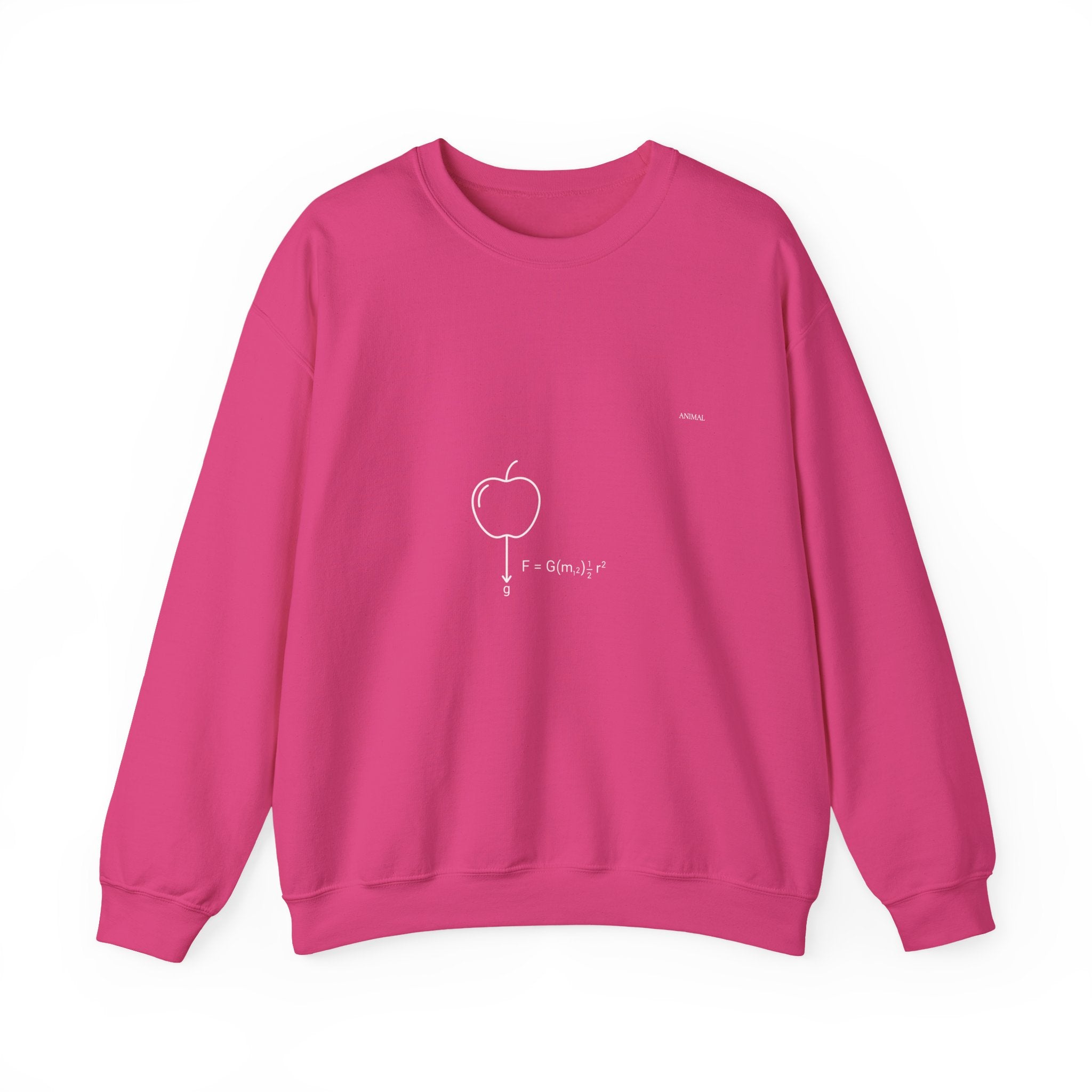 Newton Physics | Evolution Line | Newton | Unisex Crewneck Sweatshirt