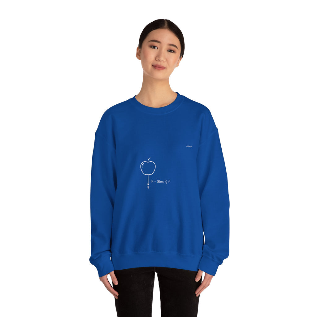 Newton Physics | Evolution Line | Newton | Unisex Crewneck Sweatshirt