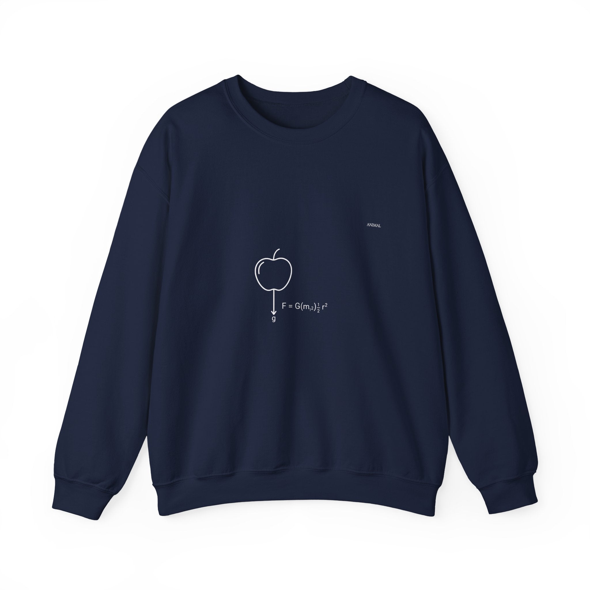 Newton Physics | Evolution Line | Newton | Unisex Crewneck Sweatshirt