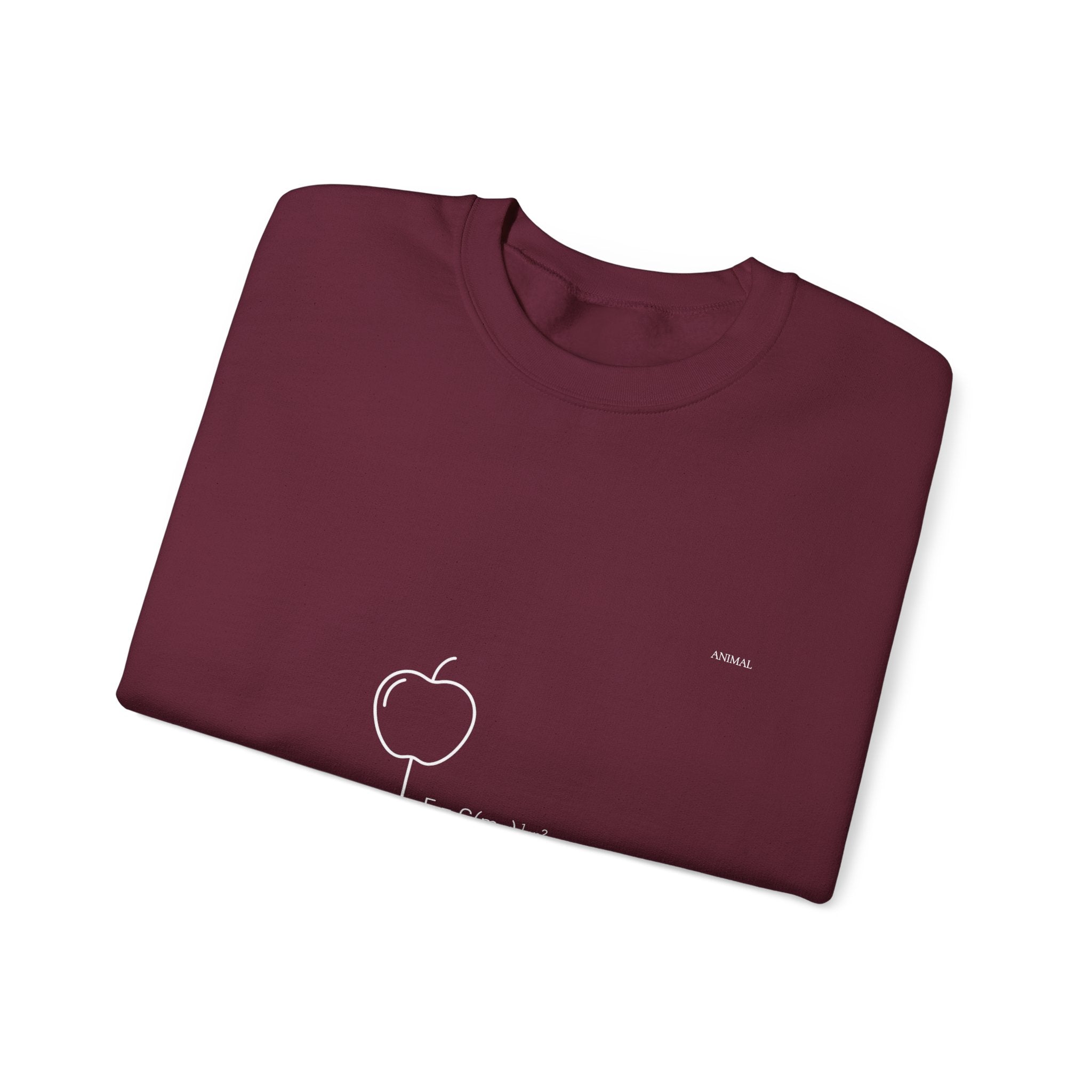 Newton Physics | Evolution Line | Newton | Unisex Crewneck Sweatshirt