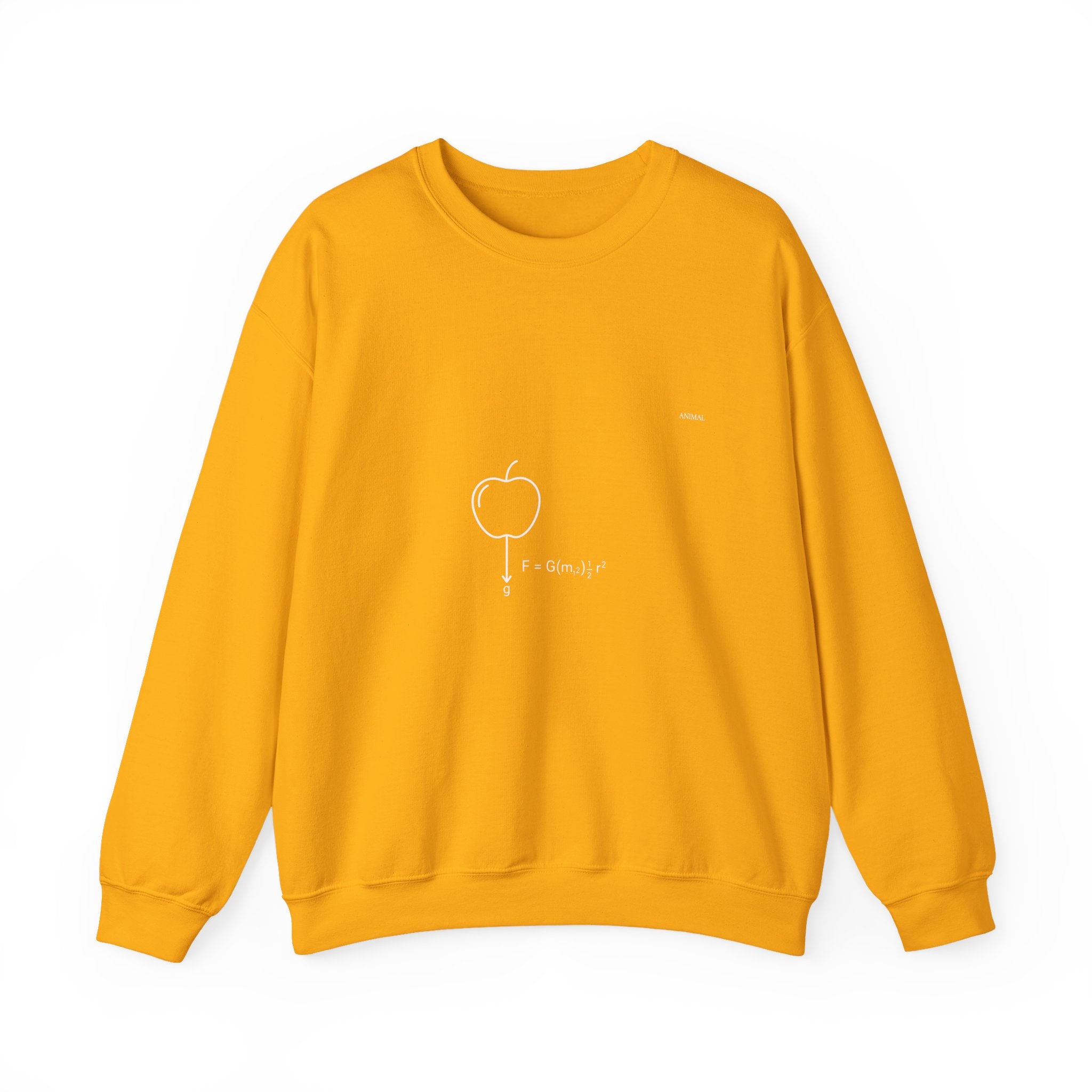 Newton Physics | Evolution Line | Newton | Unisex Crewneck Sweatshirt