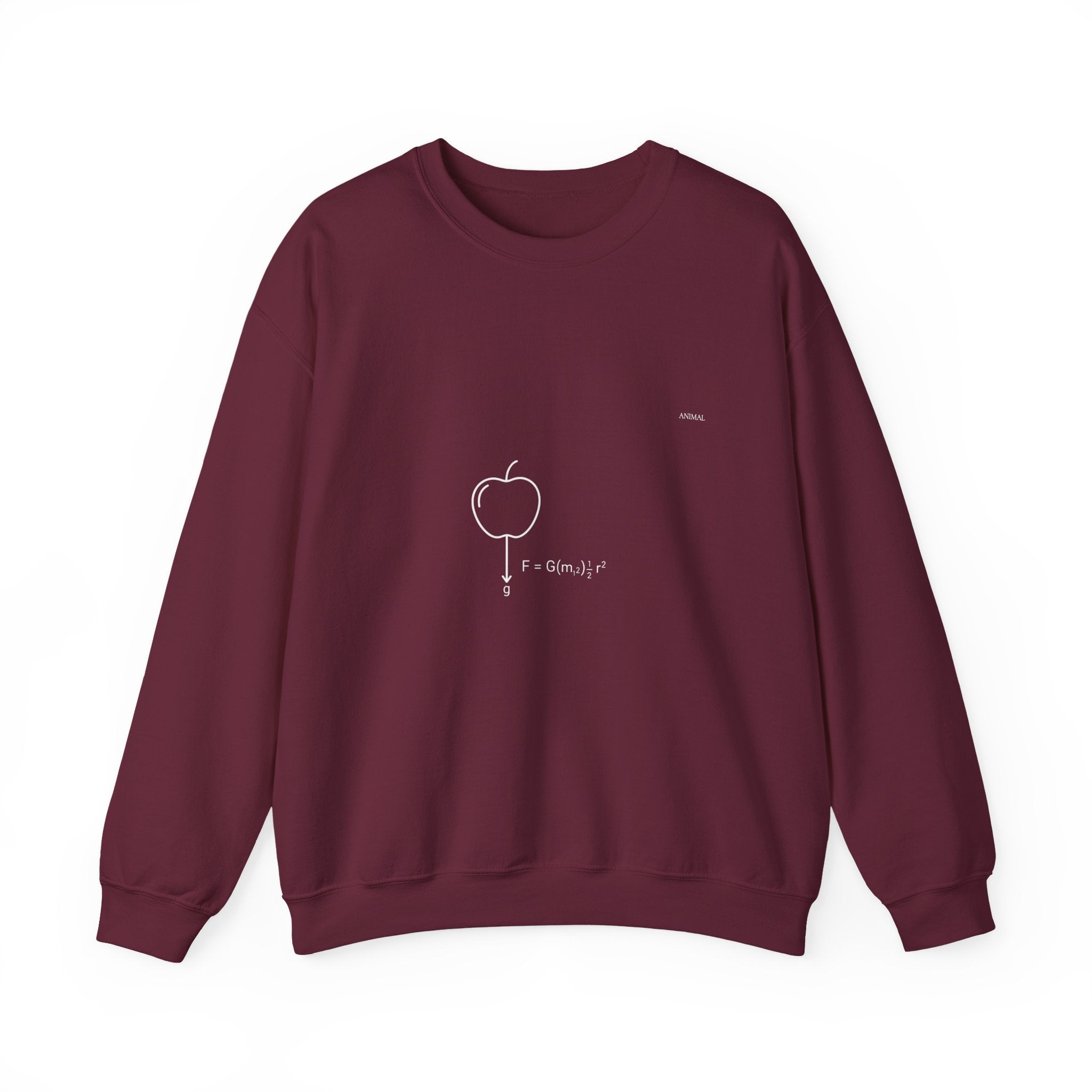 Newton Physics | Evolution Line | Newton | Unisex Crewneck Sweatshirt