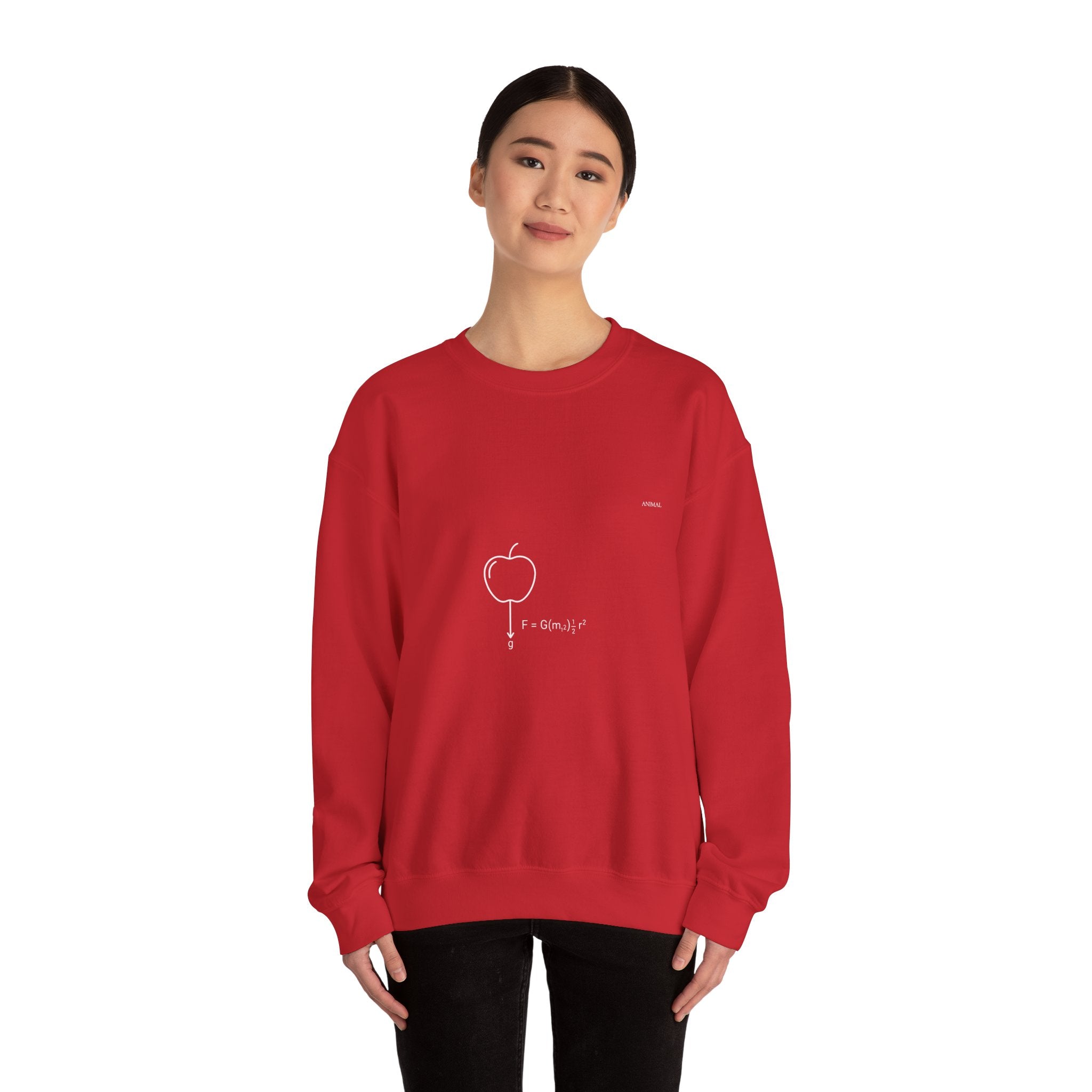 Newton Physics | Evolution Line | Newton | Unisex Crewneck Sweatshirt