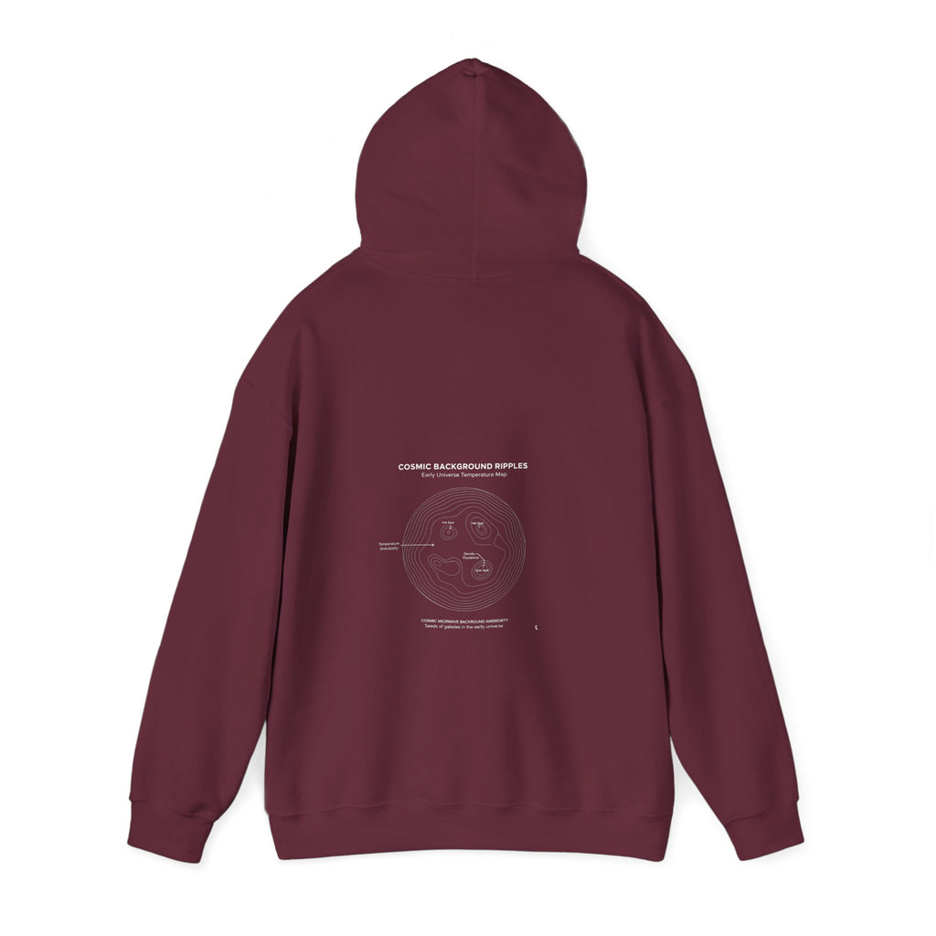 Spacetime Curve | Revolutions | Albert Einstein | Unisex Sweatshirt Hoodie