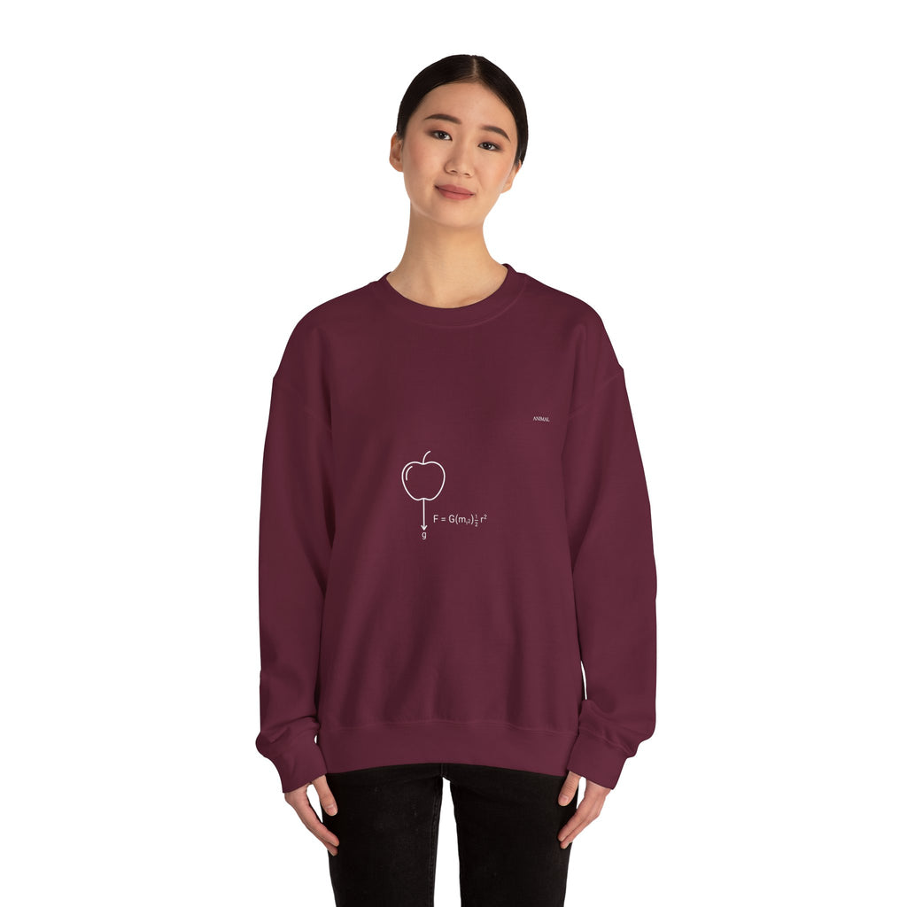 Newton Physics | Evolution Line | Newton | Unisex Crewneck Sweatshirt